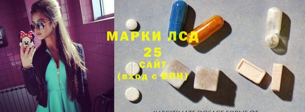 шишки Алексин
