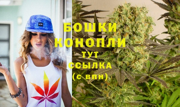 шишки Алексин